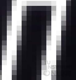 Logo de GIMP con zoom de 1600%
